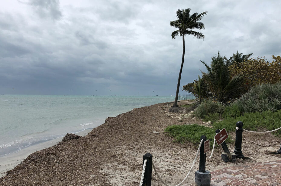 À la pointe de Key Biscayne