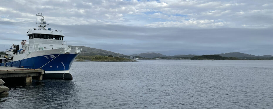 Bateau dans le port de Rørvik