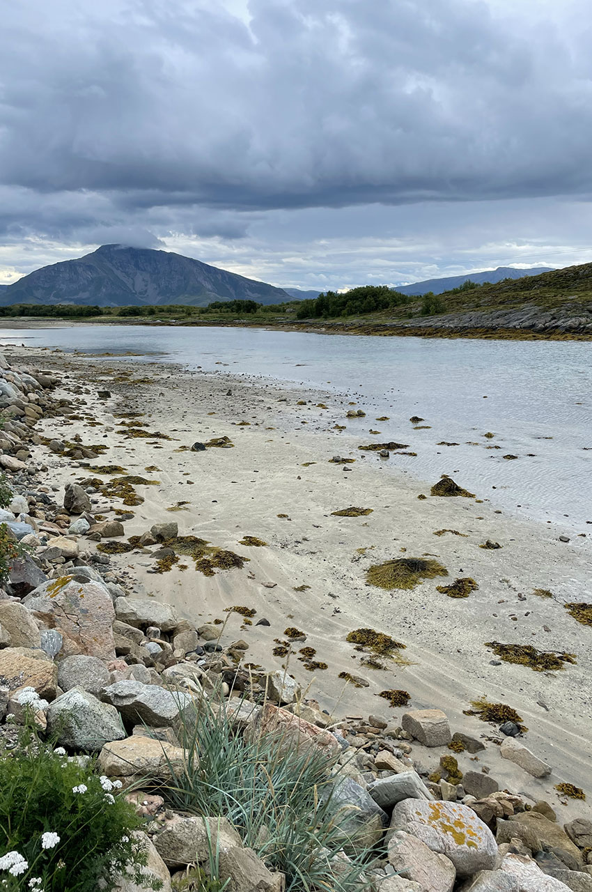 Au bord de la plage, à marée basse, vers la fin de la randonnée