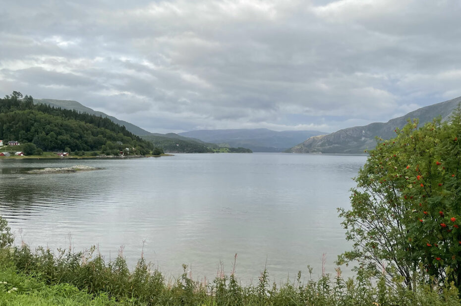 Sur la route vers Foldereid, fjord sous un ciel couvert