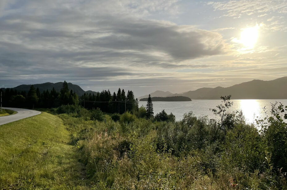 Route dans la région du Trondelag en Norvège