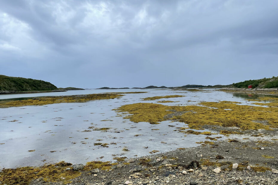 Le sentier longe la plage pour rejoindre le parking