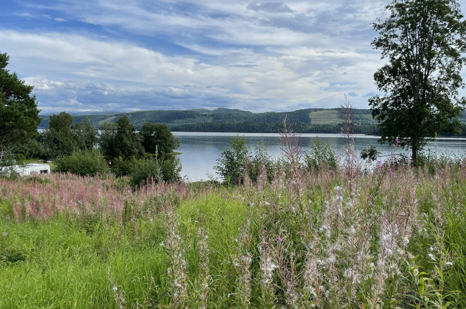 Sur les bords du lac Snåsavatnet, 6e plus grand lac de Norvège