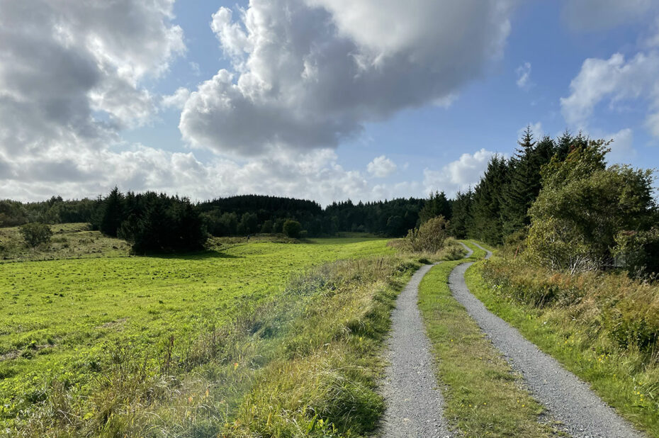 Chemin de randonnée près de la réserve de Holandsosen