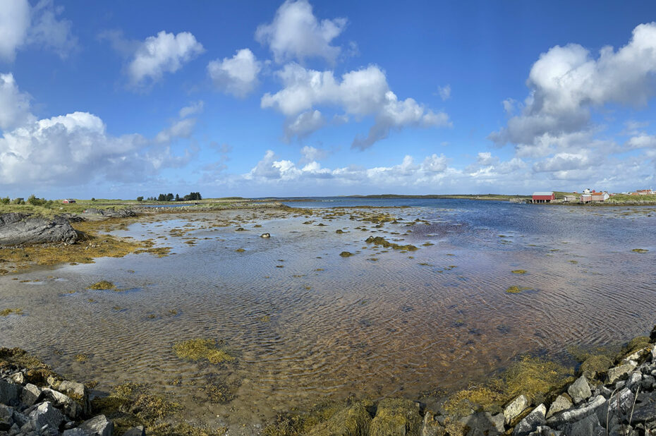 La côte de l'île de Vega à marée basse