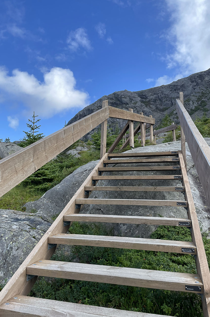 L'escalier en bois qui fait office de sentier de randonnée