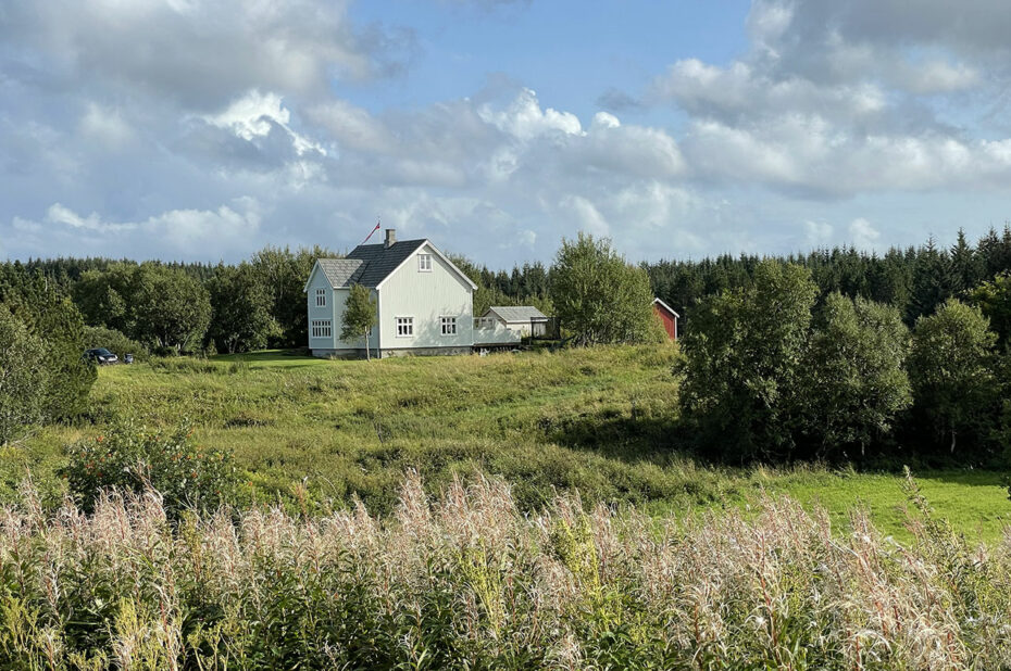 Sur l'île de Vega, des maisons en pleine nature