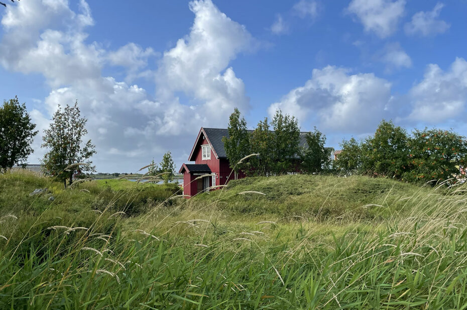 Maison entourée par la Nature