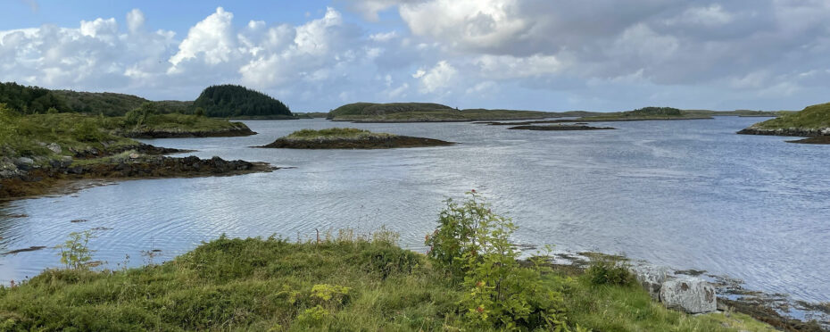 Paysage de l'île de Vega