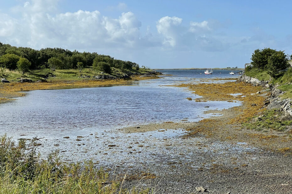 Petite crique à marée basse