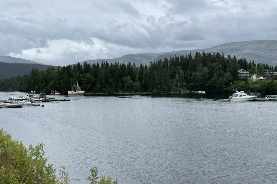 Le Velfjorden à Hommelstø est entouré de montagnes