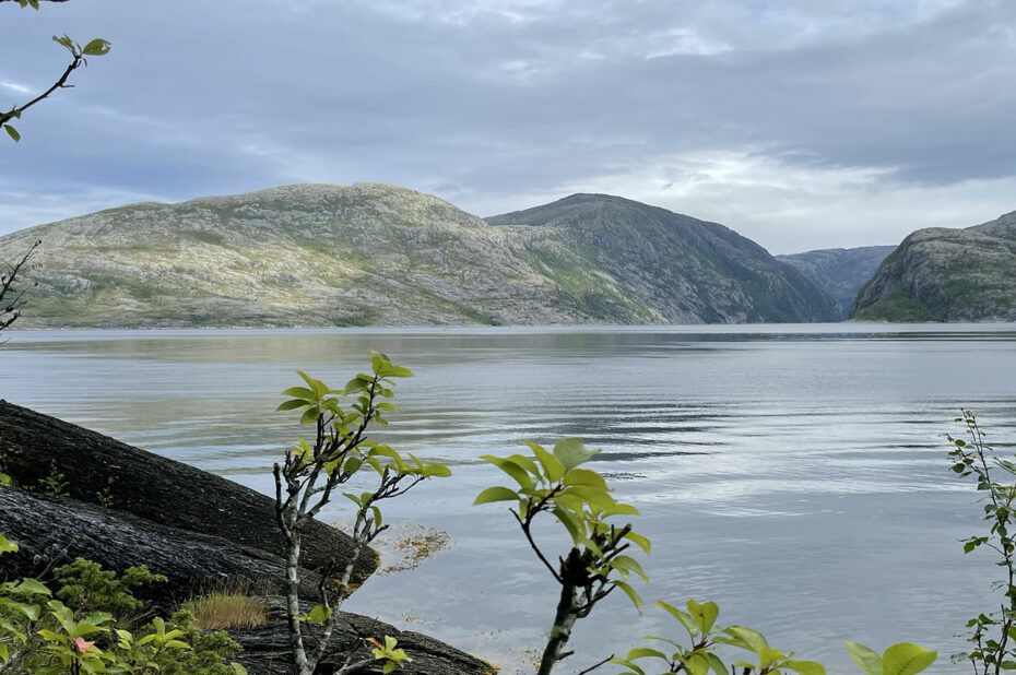 Vue sur le fjord au bout de la balade