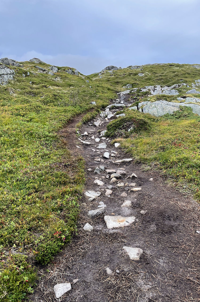 Le chemin n'est pas balisé mais facilement identifiable