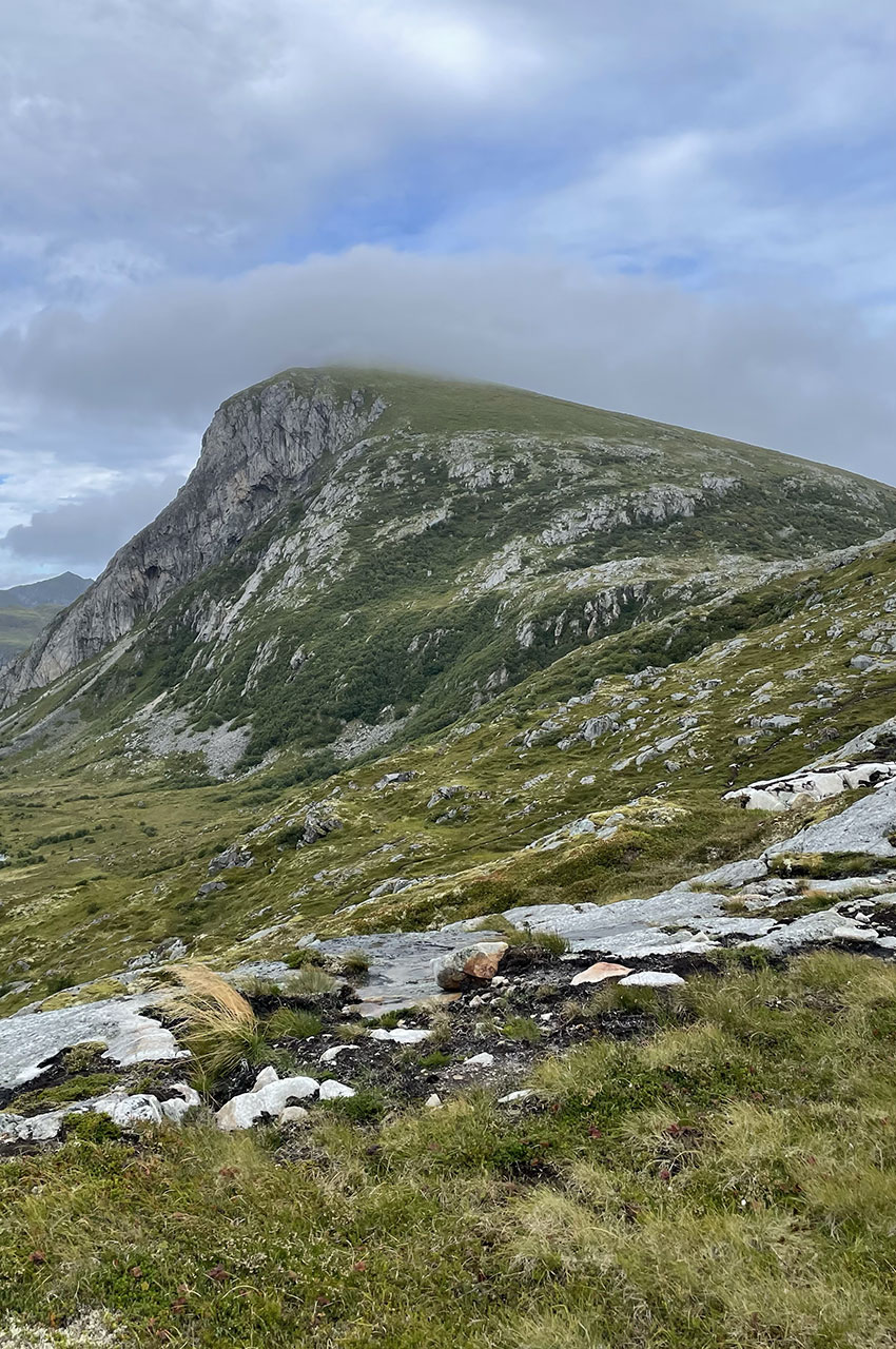 Lande arctique sur le chemin de l'Offersøykammen