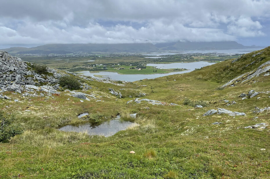 Une lande gorgée d'eau par les pluies fréquentes