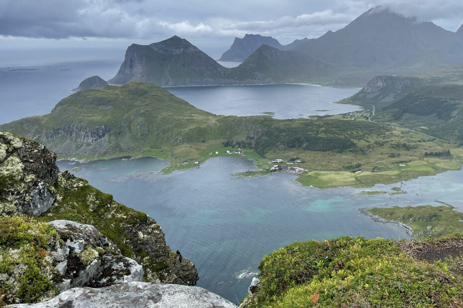 À cette latitude, on rencontre souvent une végétation rase