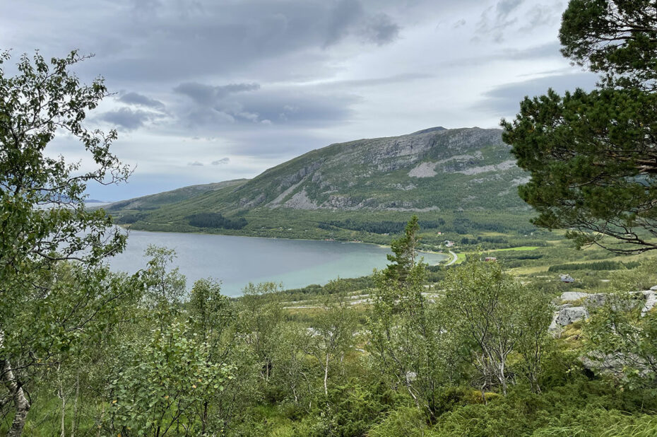 Randonnée à l'ambiance très verdoyante au départ