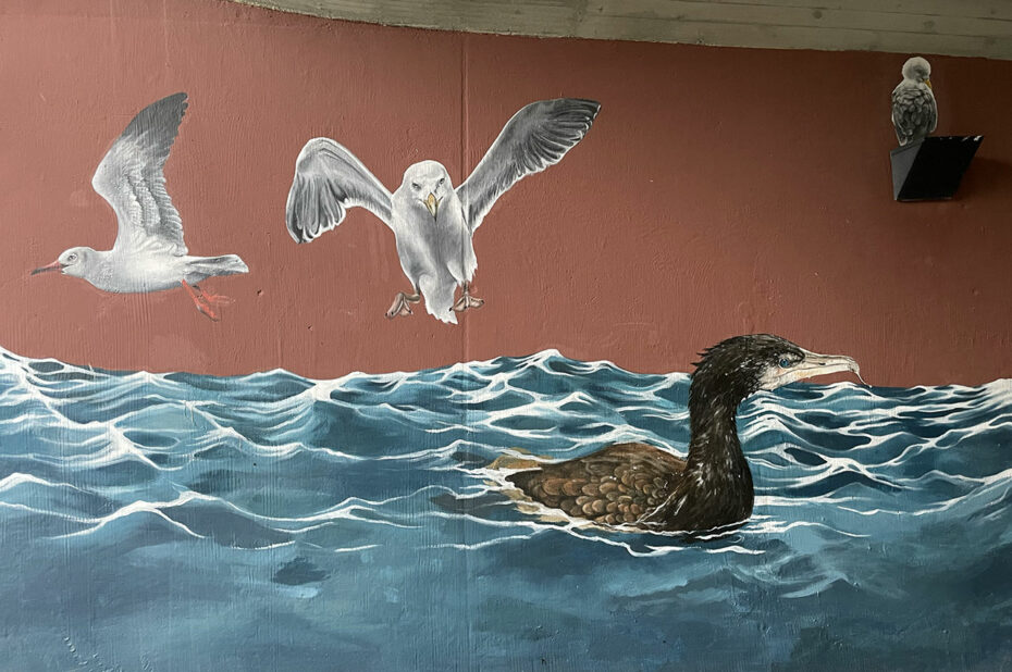 Street art de canards et goélands