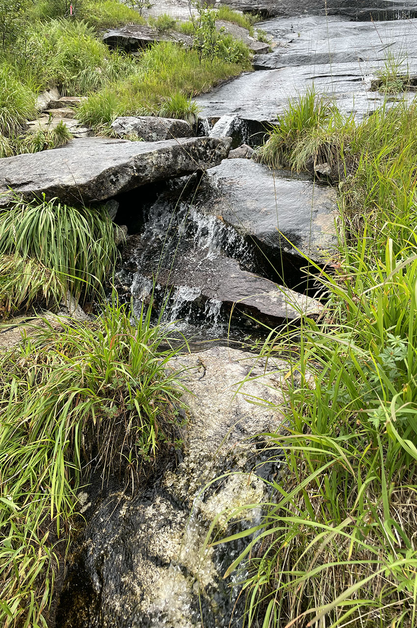 Avec le temps pluvieux, l'eau ruisselle de partout