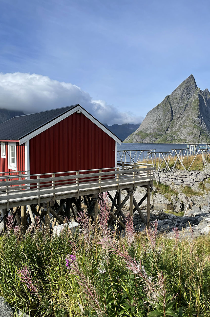 Maison traditionnelle rouge face au mont Olstind