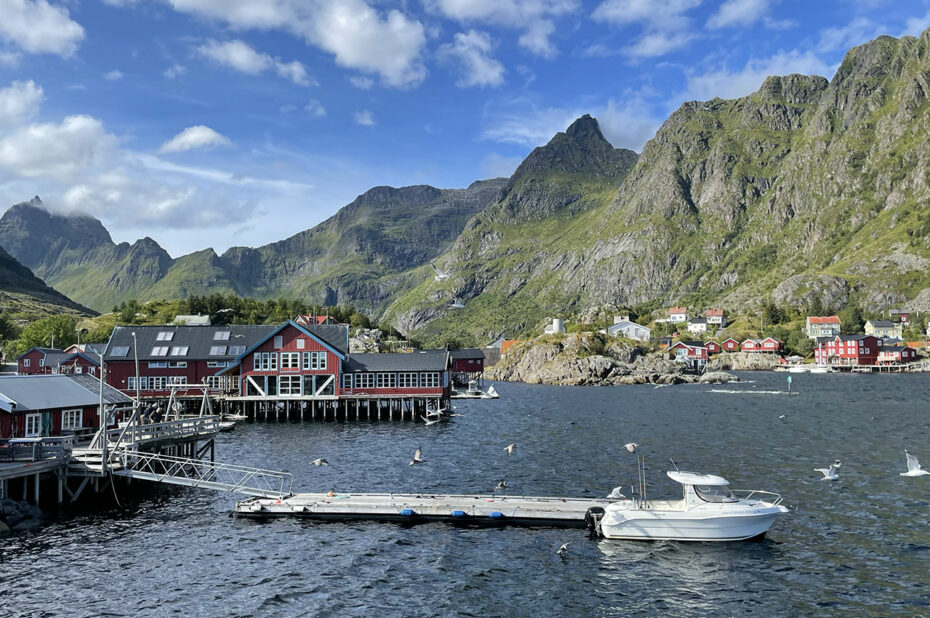 Le petit port de Å accueille de nombreuses mouettes au retour des bateaux