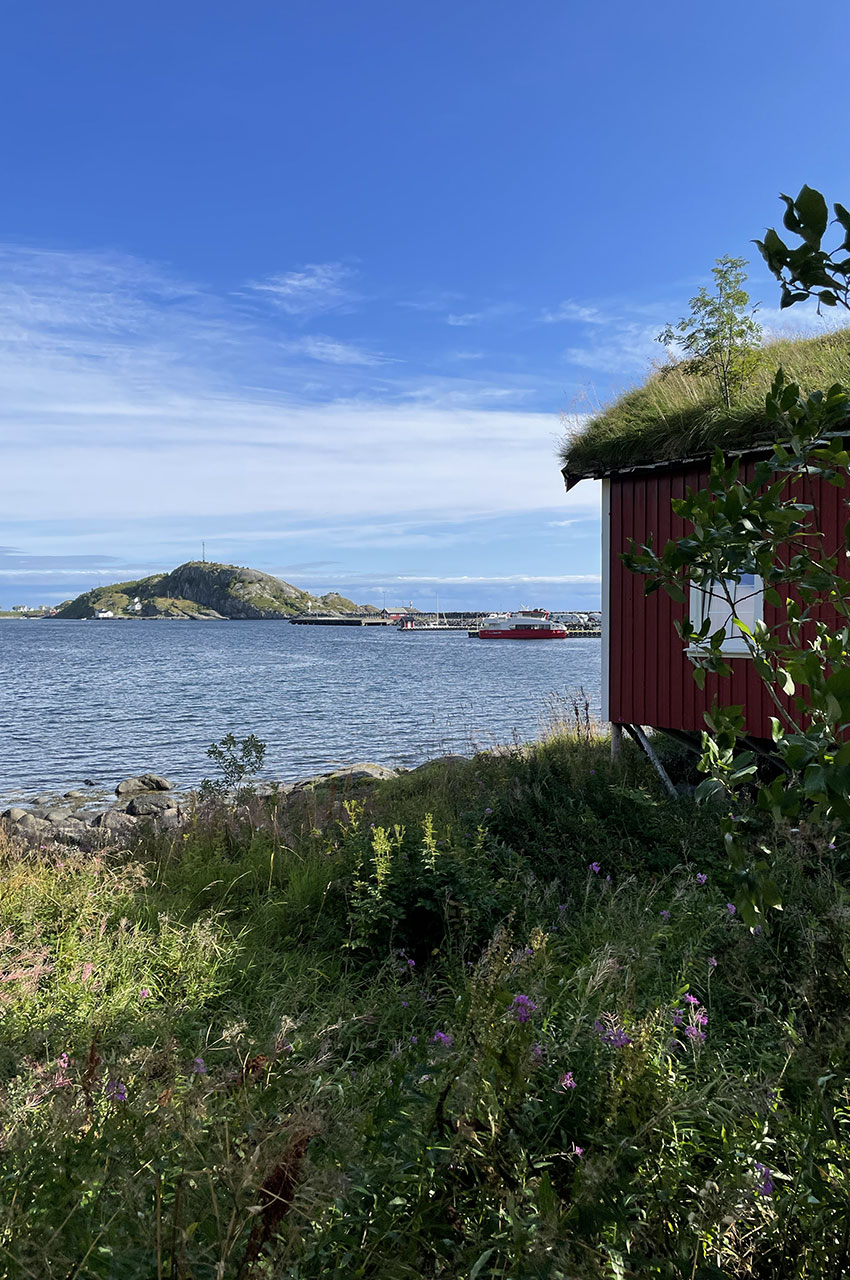 Vue sur le fjord tranquille de Reine