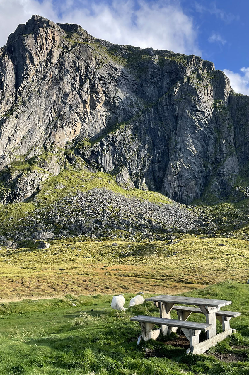 Pique-nique avec les moutons face à la montagne