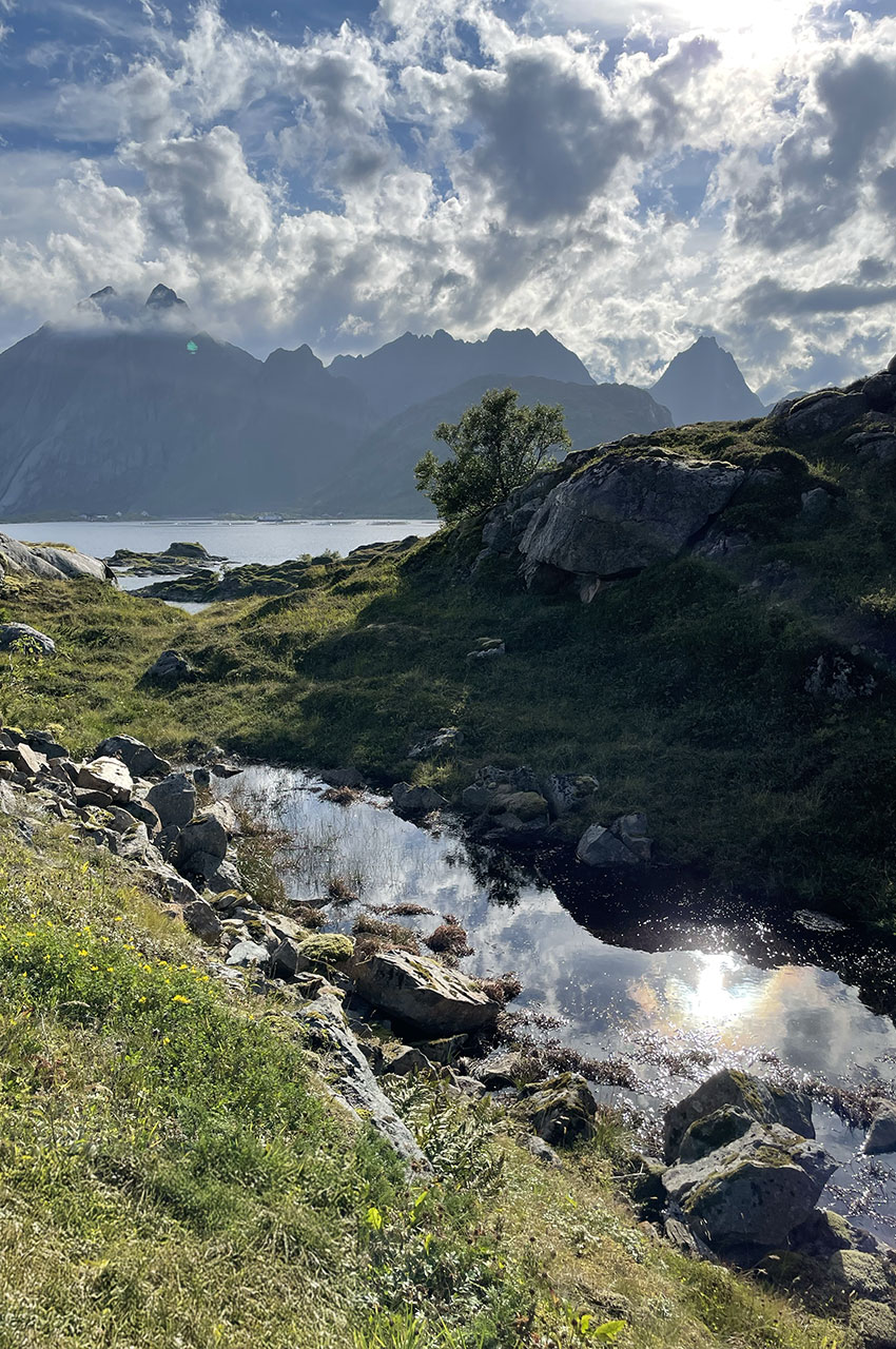 Le soleil se reflète sur l'eau