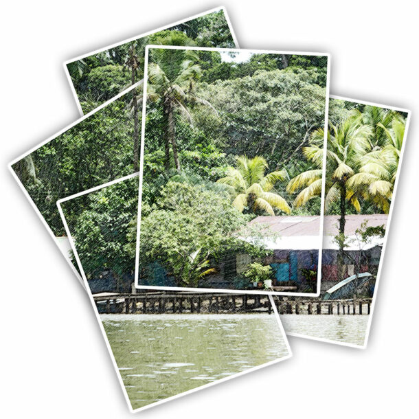 Voyage au Costa-Rica, 2014