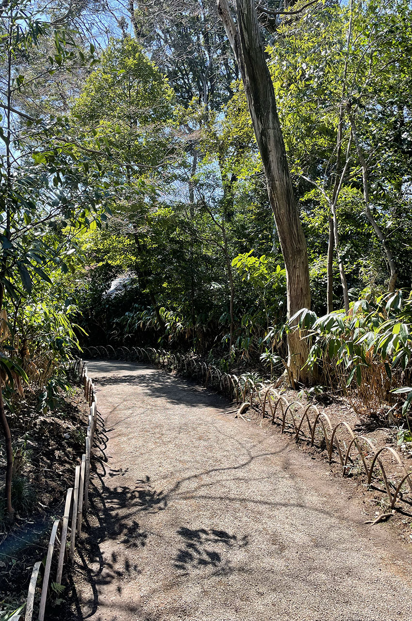 Allée du jardin intérieur Meiji-jingū Gyōen