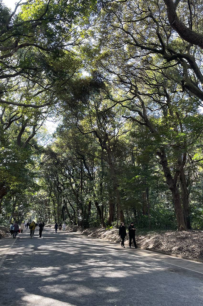 Dans les allées ombragées du parc Yoyogi