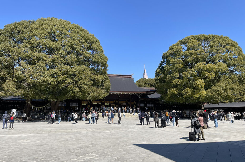 De grands arbres encadrent le haiden, le pavillon de prière