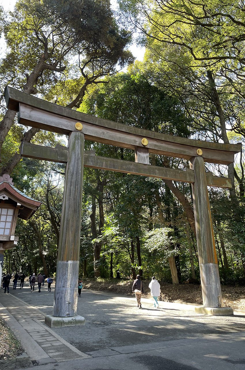Le torii en bois à l'entrée du parc fait 12 m de hauteur