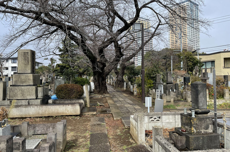 Après l'orage, un rayon de soleil sur le cimetière de Yanaka
