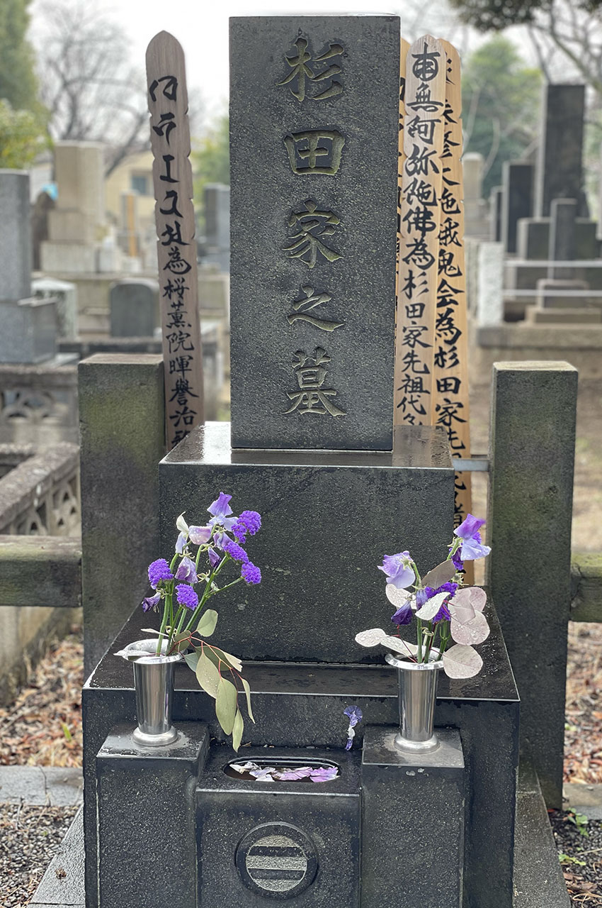 Certaines tombes sont fleuries régulièrement