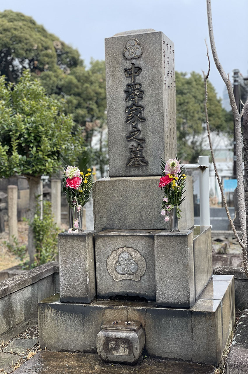 Quelques fleurs colorées dans la grisaille