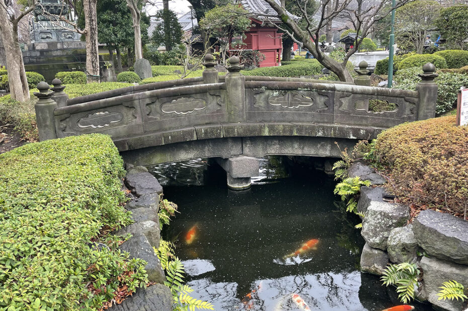Petit pont de pierre et carpes koi