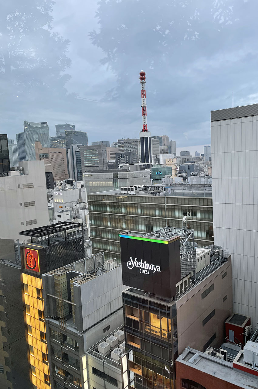 Vue sur Tokyo depuis le toit de Ginza Six
