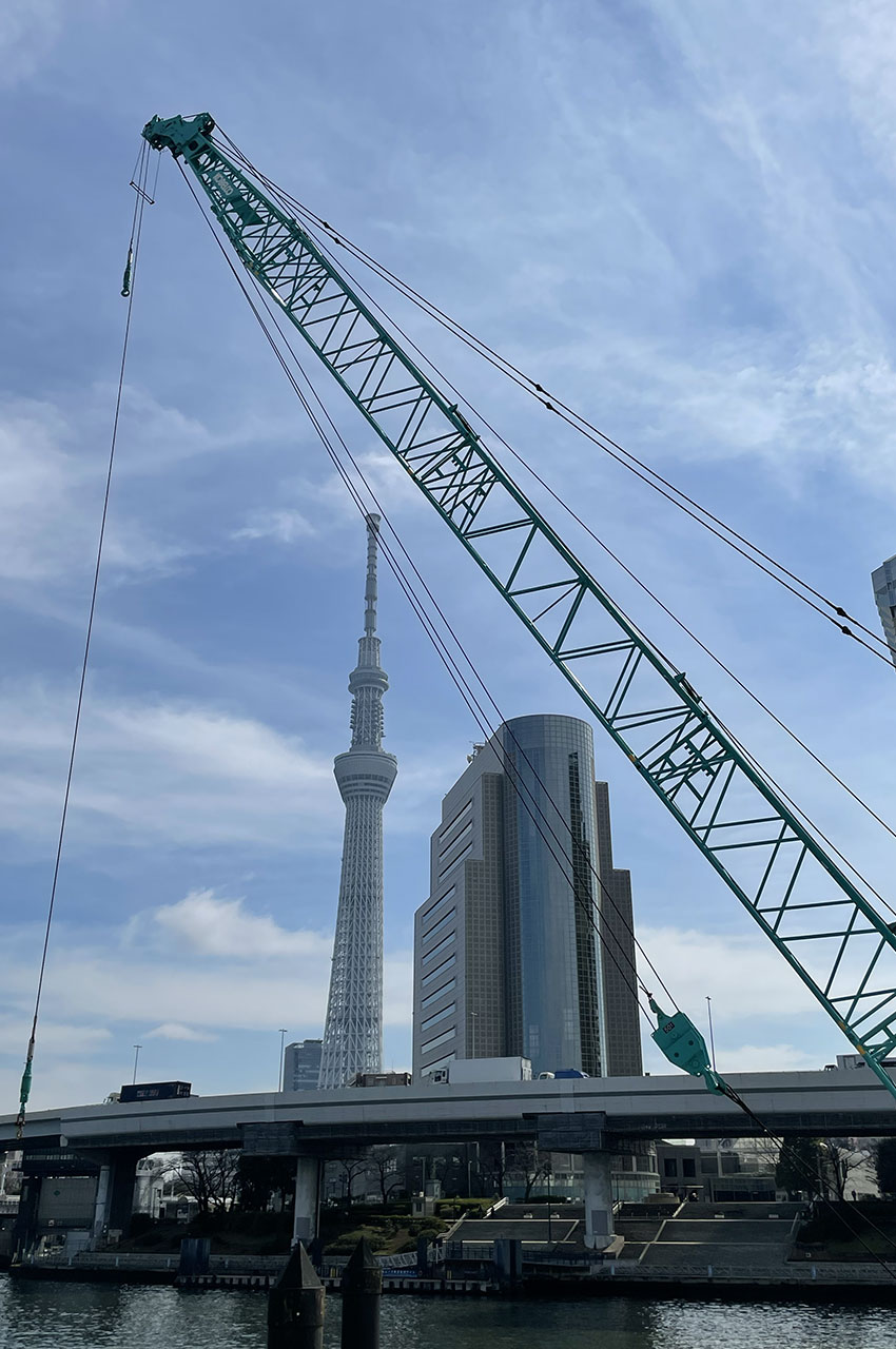 Grue sur la rivière Sumida Grue sur la rivière Sumida