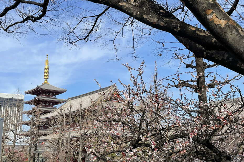 Le temple Senso-ji et sa Pagode au cœur d'Asakusa Le temple Senso-ji et sa Pagode au cœur d'Asakusa