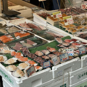 Le marché aux poissons de Tsukiji