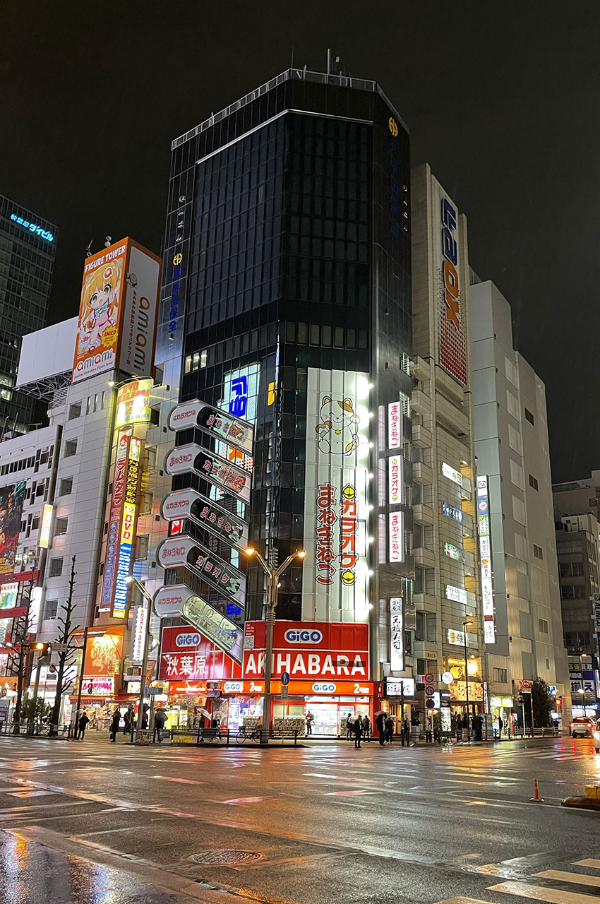 Le quartier emblématique d'Akihabara sous la pluie