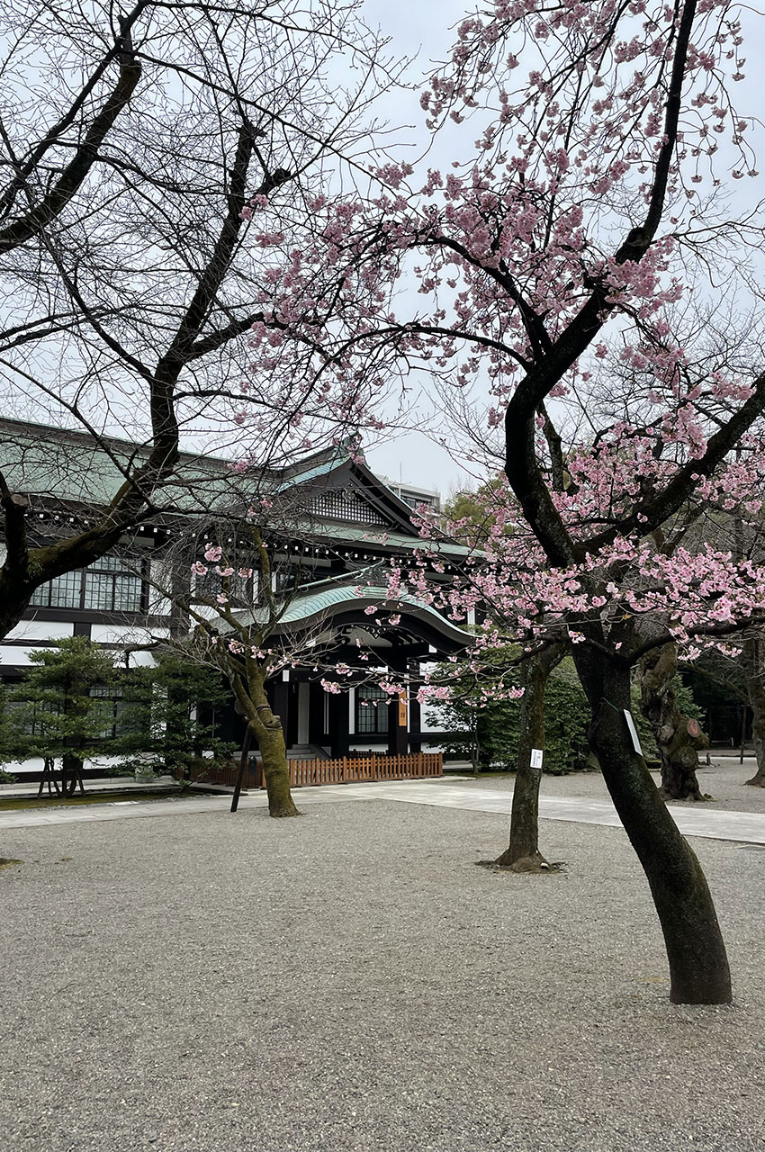 Le sanctuaire est réputé pour ses sakura au printemps